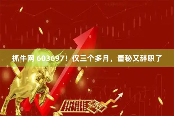 抓牛网 603697！仅三个多月，董秘又辞职了