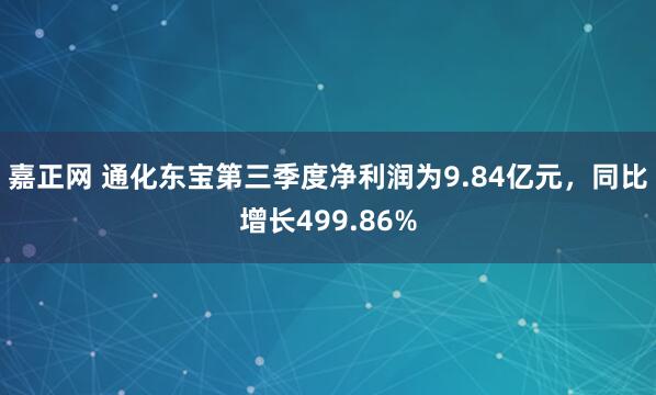 嘉正网 通化东宝第三季度净利润为9.84亿元，同比增长499.86%