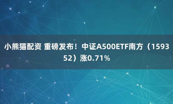 小熊猫配资 重磅发布！中证A500ETF南方（159352）涨0.71%