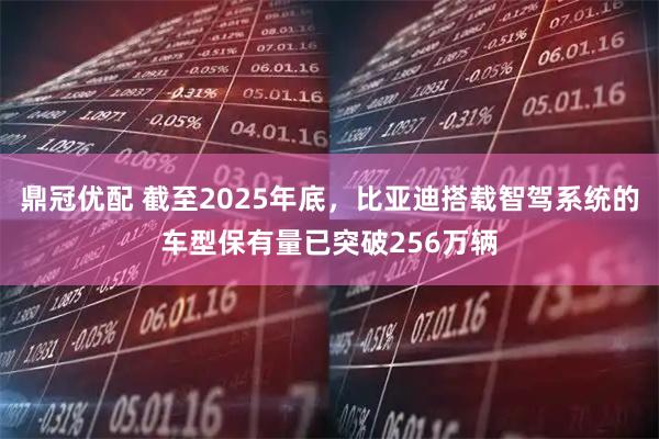 鼎冠优配 截至2025年底，比亚迪搭载智驾系统的车型保有量已突破256万辆